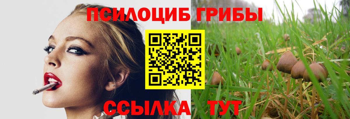 Псилоцибиновые грибы ЛСД Красноуфимск